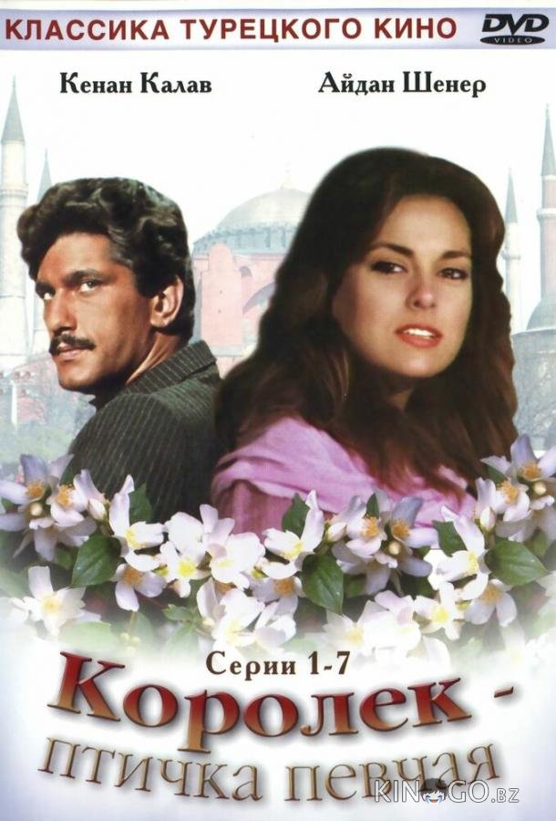 Королёк — птичка певчая 1 11
