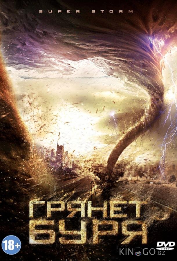 Грянет буря 