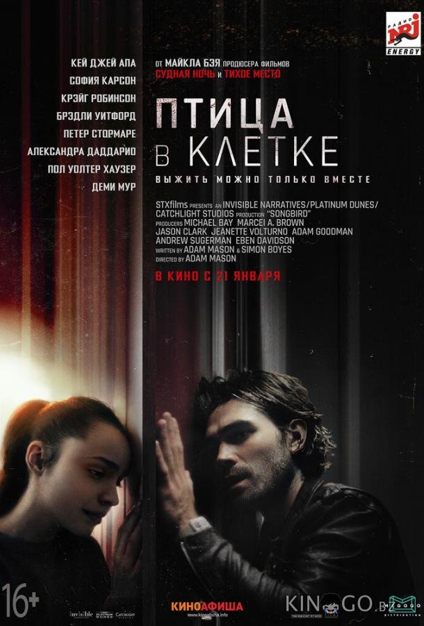 Птица в клетке 