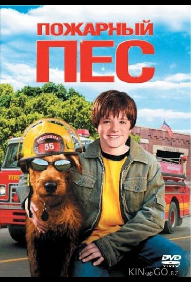 Пожарный пес 