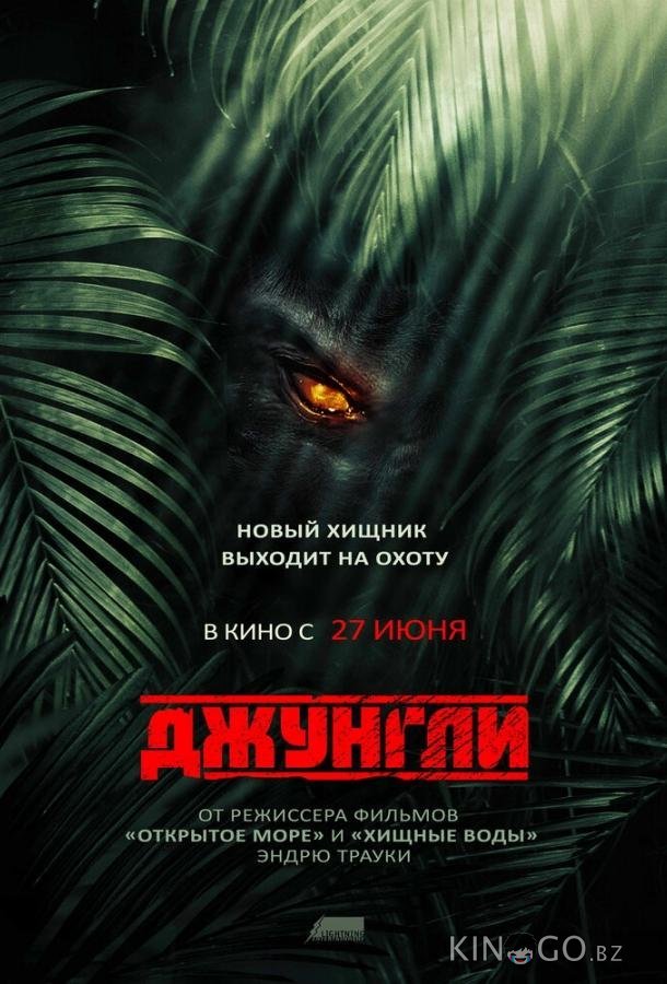 Джунгли 