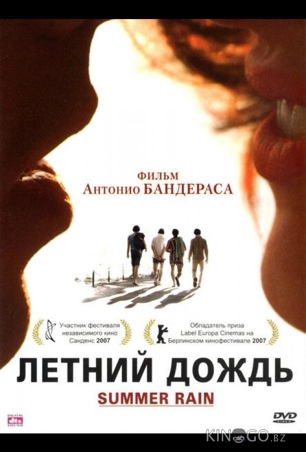 Летний дождь 
