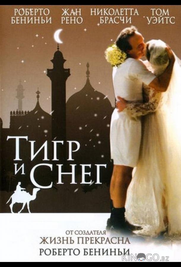 Тигр и снег 