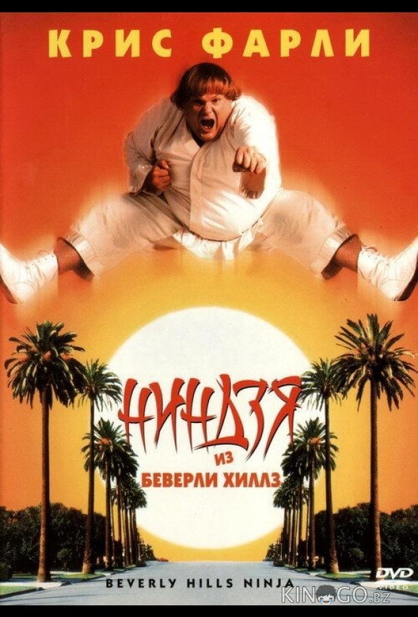 Ниндзя из Беверли Хиллз 