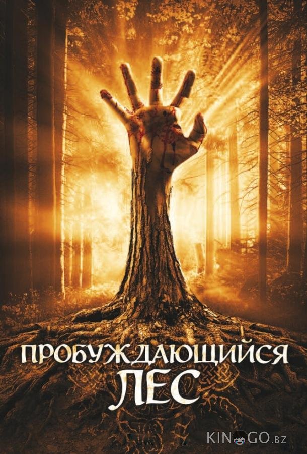 Пробуждающийся лес 