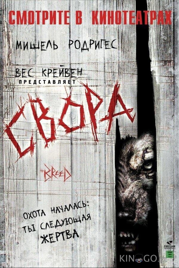 Свора 