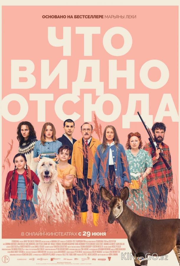 Что видно отсюда 