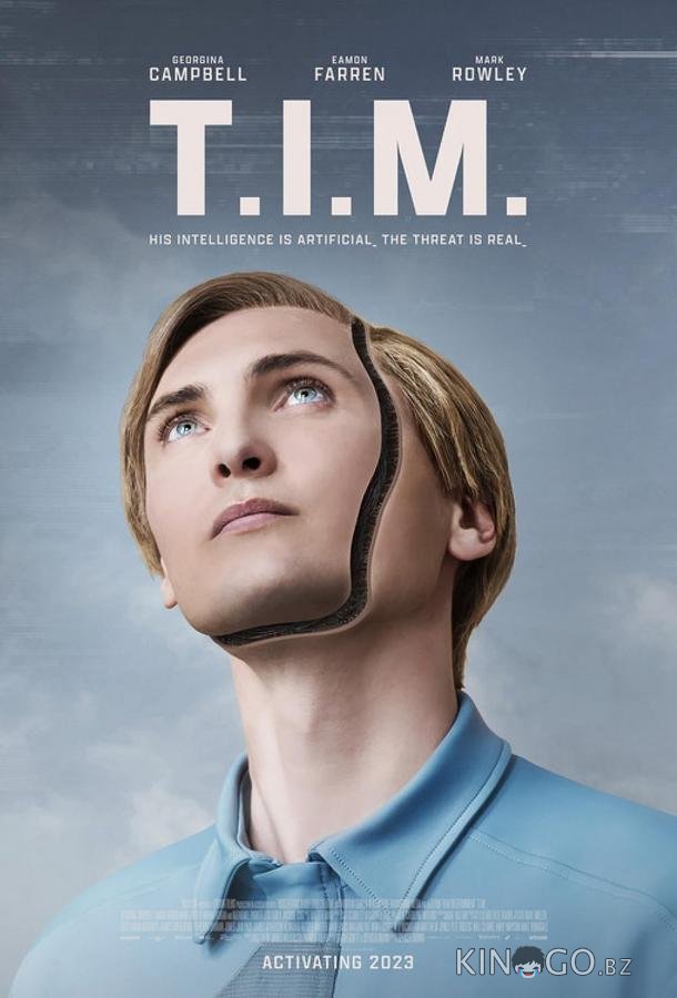 Т.И.М. 